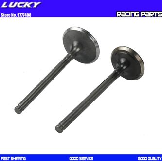 190cc Motorcycle Intake Uitlaatkleppen Kit Voor 2V Zongshen Z190 W190 ZS1P62YML-2 Motor Dirt Pit Bike Atv Quad