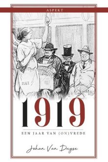 1919, een jaar van (on)vrede - Johan van Duyse - ebook