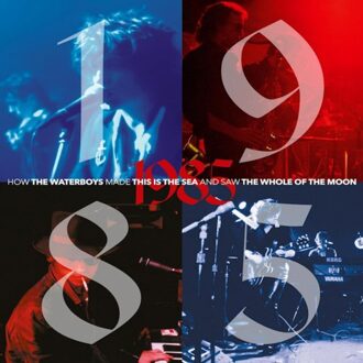 1985 - Waterboys