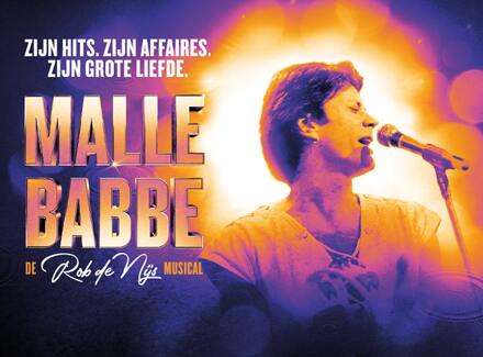 1e of 2e rang ticket Malle Babbe - de Rob de Nijs musical