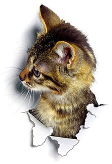 1Pc 3D Creatieve Leuke Toiletbril Muursticker Cat Decals Adhesive Familie Muur Stickers Niet Giftig Schilderijen Badkamer decoratie 02