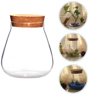 1Pc Decoratieve Clear Diy Vetplant Pot Glazen Fles Display Opslag Pot