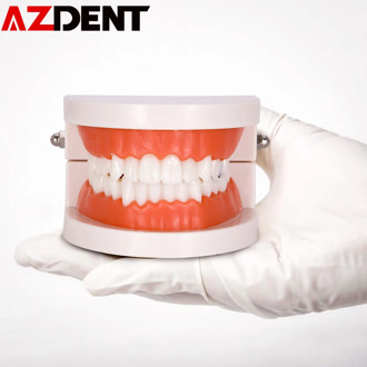 1pc Dental Implant Disease Teeth Model Restoration Bridge Orthodontic Dental Mold Dental Disease Teaching Study
