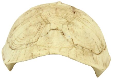 1Pc Hars Emulational Schildpad Reptiel Verbergen Rest Cave Huisdier Habitat Ornament Voor Reptiel Huisdieren