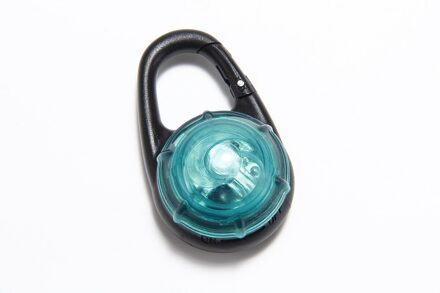1Pc Mini Led Zaklamp Halsband Gloeiende Hanger Night Veiligheid Pet Leads Ketting Lichtgevende Heldere Gloeiende Kraag In Dark groen