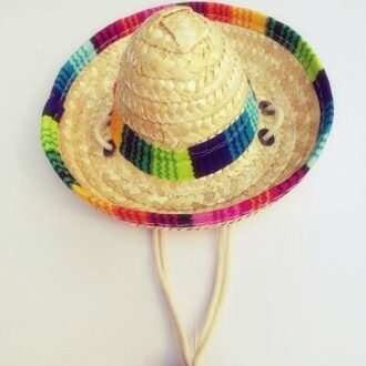 1Pc Stijl Mini Honden Stro Hoed Kat Zonnehoed Beach Party Stro Hoeden Honden Hawaii Stijl Hoed voor Honden Grappige Accessoires