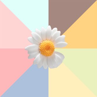 1Pcs Diy Bloemen Schoen Gesp Meisjes En Kinderen Diy Schoenen Accessoires Trend Creatieve Schoenveters Decoratieve Schoenen Accessoires wit