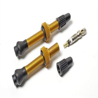 1Pcs Geen Buizen Tubeless Aluminium Kleppen 50Mm Mtb Racefiets