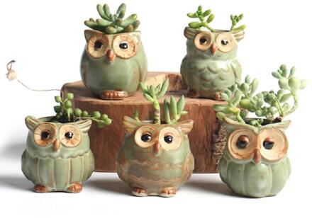1Pcs Keramische Uil Vorm Bloempotten Keramische Planter Bloempot Leuke Succulente Planter Bloempot Woondecoratie