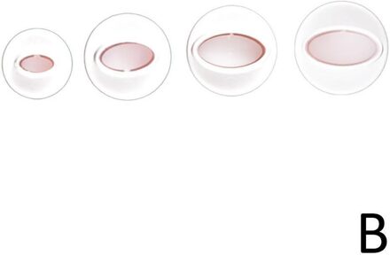 1Pcs Plunger Fondant Cutter Cake Gereedschappen Cookie Mold Mould 10 Bakvormen 3D Biscuit Style Diy Craft A0U0 ovaal