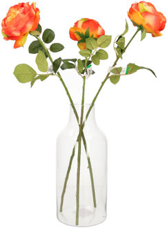 1x Flesvormige bloemenvazen/decoratie vazen/boeketvazen transparant glas 4900 ml - Vazen