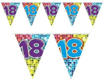 1x Mini vlaggenlijn feestversiering met leeftijd 18