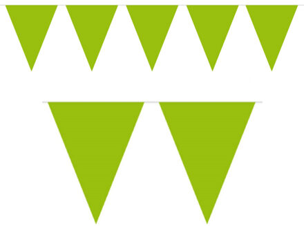 1x Mini vlaggenlijn / slinger lime groen 300 cm