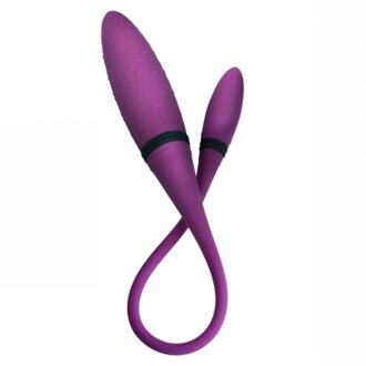 2 Double Ended Vibrator - Paars