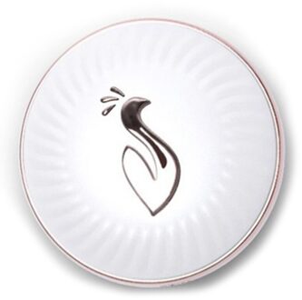 2 In 1 Handwarmer Opladen Po Waterloze Usb Opladen Handwarmer Pebble Mobiele Power Perfect wit