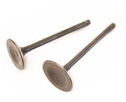 2 Pcs Motorfiets Motoronderdelen Ventiel Voor LinHai 400cc LH400 FEISHEN FS-H400 ATV (1 pcs Intake En 1 stuks Uitlaat)