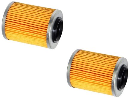 2 Pcs Oliefilter Voor Cfmoto CF500 400 500Cc 800Cc CF800 X8 Atv Utv 0800-011300