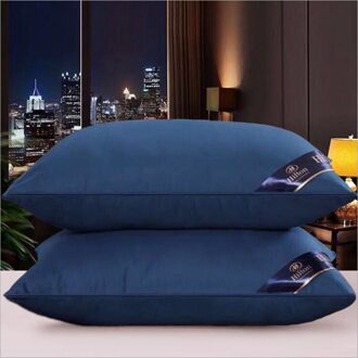 2 Stks/partij Hotel Borduurwerk Zachte Fluwelen Nek Kussen. Huishoudelijke Effen Kleur Borduurwerk Wasbare Kussens. Fabrikant Verkoop Blauw