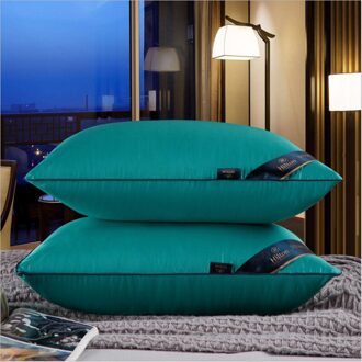 2 Stks/partij Hotel Borduurwerk Zachte Fluwelen Nek Kussen. Huishoudelijke Effen Kleur Borduurwerk Wasbare Kussens. Fabrikant Verkoop groen