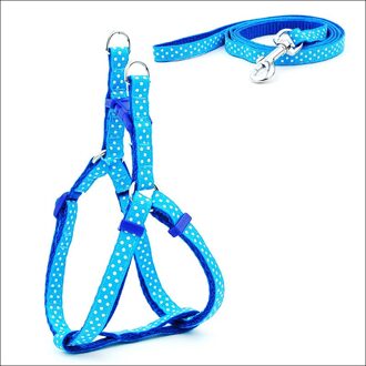 2 Stks/set Huisdier Halsband Kat Harnas Leiband Harnas Vest Leash Kraag Puppy Small Pet Outdoor Wandelen Pet Supplies verstelbare blauw 120cm