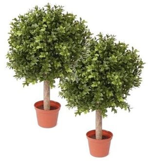 2 Stuks Buxus kunstplanten op stam in pot 36 cm - Kunstplanten Groen