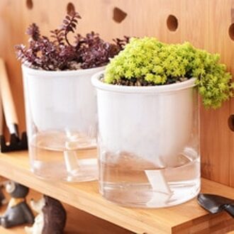 2 Stuks Clear Self Gieter Planter Voor Indoor En Outdoor Planten Bloemen Kruiden Hydraterende Jardin Verticale Tuin Zak Gereedschap