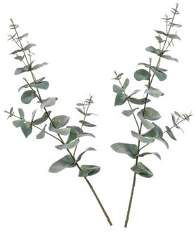 2 stuks Eucalyptus kunstbloemen takken 68 cm decoratie - Kunstplanten Groen