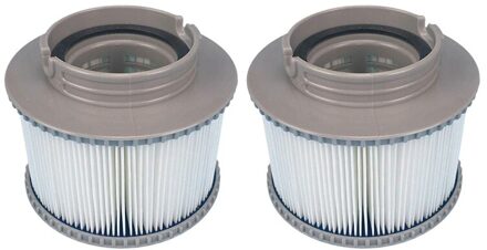 2 Stuks Filter Cartridges Zeef Voor Alle Modellen Tub Spa Zwembad Voor Mspa