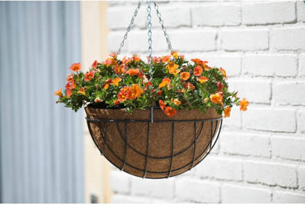 2 Stuks Hanging Basket Metaaldraad Groen Geepoxeerd Incl. Ketting H15,5x Dia. 35cm