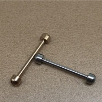 2 Stuks Horloge Drijfstang Rvs Ingelaste Schroef Rod Band Drijfstang Vaste Pompen Oor Staaf Rose Zilver 22mm zilver