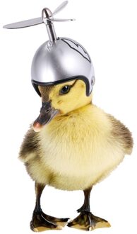 2 Stuks Kip Helm Bescherming Helm Hens Dierbenodigdheden Huisdier Hoed Voor Kip zilver patroon