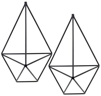 2 Stuks Opknoping Air Plant Stand Voor Tillandsia Display Wall Gemonteerde Geometrische Tillandsia Air Plant Stand