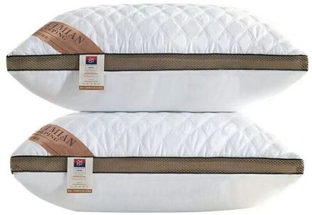 2 Stuks Thuis Kussen Drie-Dimensionale Veer Zijde Katoen Kussen Zachte Elastische Kussen 5 Star Hotel Kussen Slaap Kussens voor Slaapkamer rooster wit