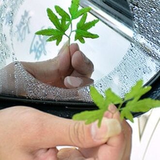 2 Stuks Vierkante Auto Achteruitkijkspiegel Anti-Fog Waterdichte Beschermende Film Accessoires Decoratie Auto Accessoires Interieur Vrouw