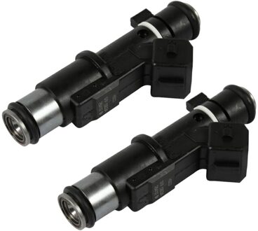 2 Stuks Voor Peugeot 406 407 806 807 Expert Citroen C4 C5 C8 2.0 16V Benzine Injector