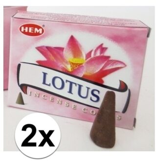 20 kegeltjes Lotus wierook - Wierookstokjes