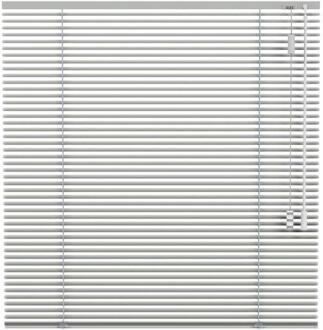 20% korting - Leen Bakker - Fenstr Jaloezie 25mm Standaard Lak - Licht (20036) - Aluminium - Grijs - 120x10x10 Cm