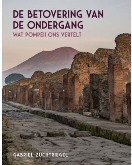 20 Leafdesdichten BV Bornmeer De Betovering Van De Ondergang - Gabriel Zuchtriegel