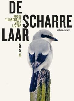 20 Leafdesdichten BV Bornmeer De scharrelaar - (ISBN:9789045045344)