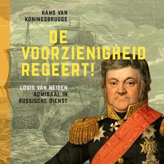 20 Leafdesdichten BV Bornmeer De voorzienigheid regeert! - Boek Hans van Koningsbrugge (9023255739)