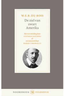 20 Leafdesdichten BV Bornmeer De ziel van zwart Amerika - (ISBN:9789056158583)