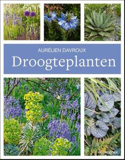 20 Leafdesdichten BV Bornmeer Droogteplanten - Aurélien Davroux