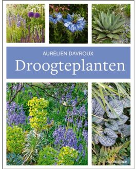20 Leafdesdichten BV Bornmeer Droogteplanten - Aurélien Davroux