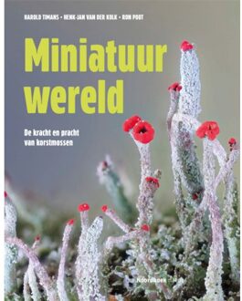 20 Leafdesdichten BV Bornmeer Miniatuurwereld - Henk-Jan Van der Kolk