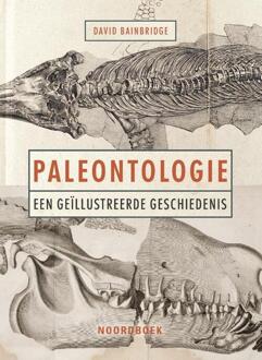 20 Leafdesdichten BV Bornmeer Paleontologie - David Bainbridge