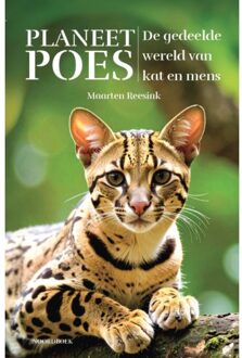20 Leafdesdichten BV Bornmeer Planeet Poes - Maarten Reesink