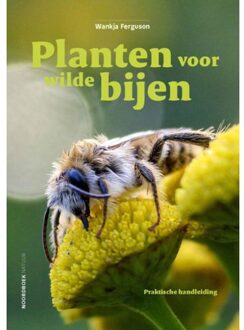 20 Leafdesdichten BV Bornmeer Planten Voor Wilde Bijen - Wankja Ferguson
