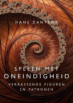 20 Leafdesdichten BV Bornmeer Spelen Met Oneindigheid - Hans Zantema