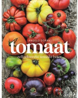 20 Leafdesdichten BV Bornmeer Tomaat - Angelo Dorny