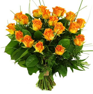 20 Oranje/zalm rozen